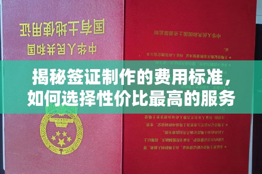 平鲁揭秘签证制作的费用标准，如何选择性价比最高的服务？